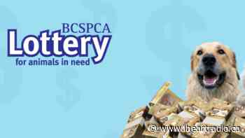BC SPCA Lottery for animals in need announces $1,000,000 50/50 jackpot - AM 1150 (iHeartRadio)