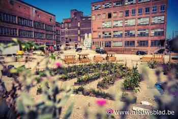 Gate vervolledigt affiche met JeanJass en MadMadMad