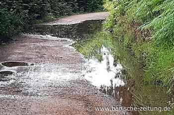 Die IG Velo zeigt bei einer Radtour heikle Stellen in Steinen auf - Steinen - Badische Zeitung - Badische Zeitung