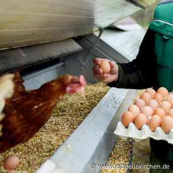 Lungenkrank durch Vogelfedern oder Bügeleisen - radioeuskirchen.de
