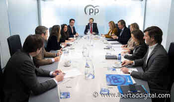 El PP, contra Sánchez por enterrar el 25% del español en las aulas catalanas: "Ha colgado el cartel de se vende" - Libertad Digital