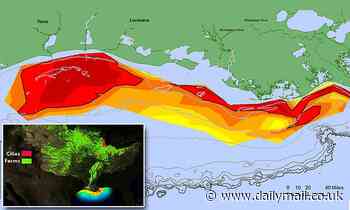 Gulf of Mexico's dead zone where low oxygen suffocates marine life is now larger than CONNECTICUT
