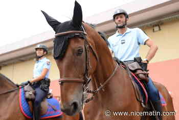 La Garde républicaine est à l’hippodrome de Cagnes... Les trois qualités d'un cheval d’exception