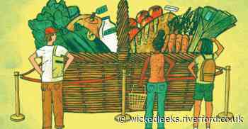 Why don't students buy sustainable food? - Wicked Leeks