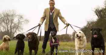 Graeme Hall explains how to stop dogs stealing food from your BBQ or picnic - Liverpool Echo