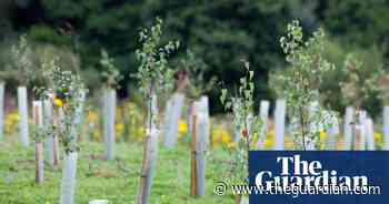 Reforestation hopes threaten global food security, Oxfam warns - The Guardian