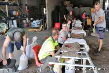 Vrijwilligers worden 'zakkenvullers' - Het Nieuwsblad