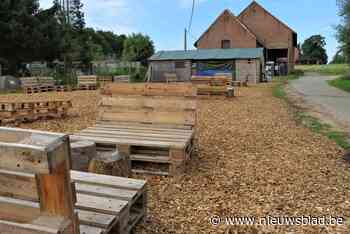 Hof van Beieren opent pop-up zomerbar aan het Schom