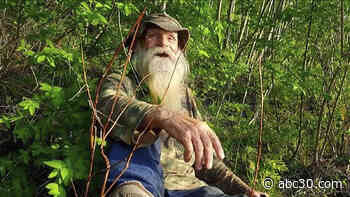 Fire destroys cabin of 81-year-old hermit who was forced out of woods after decades, jailed