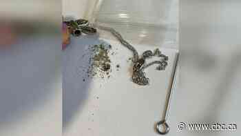 Urn necklace delivered by Amazon with remains already inside, woman says