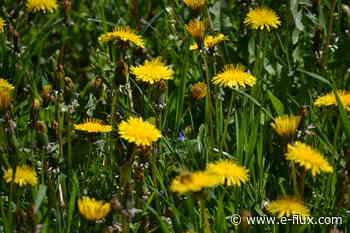 Eating the Sun - Architecture - E-Flux