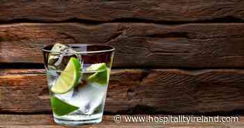 Spirits And Wine Distributor Edward Dillon & Co Records Decrease In Pre-Tax Profits For Year That Ended On September 30, 2020; Off-Trade Gin Sales Increased During Year That Ended On May 23, 2021 - Hospitality Ireland