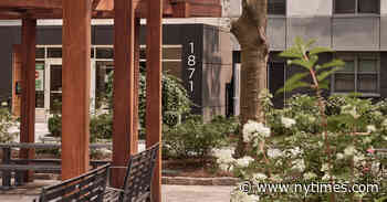 A Rebirth in the Bronx: Is This How to Save Public Housing?