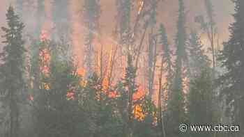 131 active wildfires in Sask., season doubles yearly average