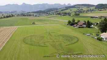 Er will mit blühendem Strauss siegen - schweizerbauer.ch