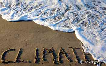 Climate crisis, Ispra: a rischio habitat marini e terrestri - Sky Tg24