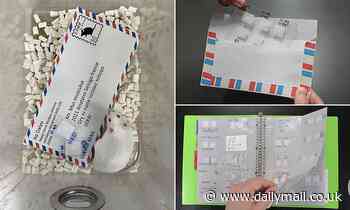 Scientists post freeze-dried mouse sperm on a postcard