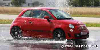 Seebenstein: In Schlangenlinien über die Autobahn - Neunkirchen - meinbezirk.at