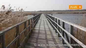 Mit Witz, Tricks und Finten: Max Abeles Ulm-Krimi "Tote Schwaben leben länger" - Augsburger Allgemeine
