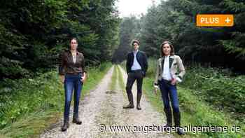 Macht der Bahnausbau zwischen Augsburg und Ulm diesen Wald platt? - Augsburger Allgemeine