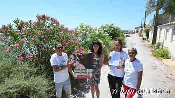 Hérault : à Frontignan, une victoire pour le hameau des Aresquiers - Le Parisien