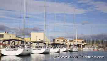 Frontignan : élus et président de la Fédération des Ports de Plaisance sur la même longueur d'onde - Hérault-Tribune