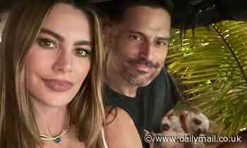 Sofia Vergara and Joe Manganiello's home suffers $100K in damages by vandal - Daily Mail