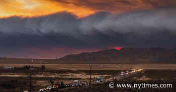 ‘Bring Your Own Brigade’ Review: Some Say the World Will End in Fire