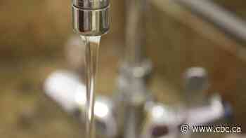 Decade-long drinking water advisory lifted for Lynden, but some residents still don't trust the taps