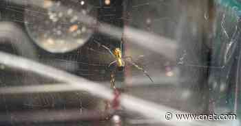 NASA astronaut muses about seeing 'spiders' on the ISS     - CNET