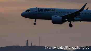 Lufthansa erholt sich nur langsam vom Corona-Schock - Salzgitter Zeitung