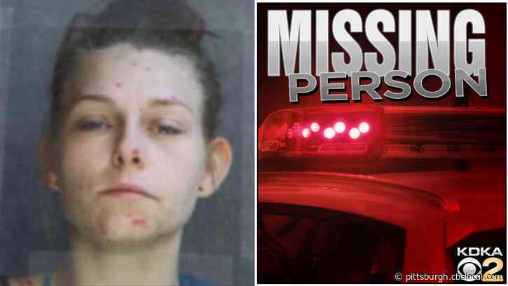 State Police Searching For Missing 24-Year-Old Ashley Allison From Fayette County