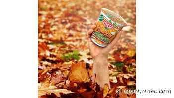 Pumpkin spice flavored Cup Noodles coming in October
