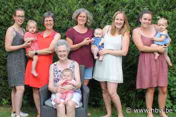 Vier keer vier generaties in Kinrooi (Kinrooi) - Het Belang van Limburg Mobile - Het Belang van Limburg