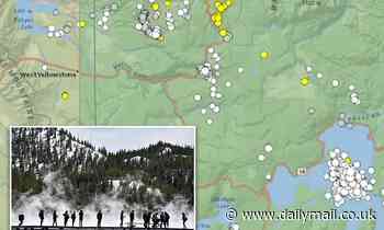 Yellowstone National Park was rattled by more than 1,000 earthquakes in July