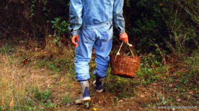 Modena, morto raccoglitore di funghi - il Resto del Carlino