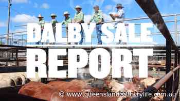 Light weight yearling heifers make to 680c, average 589c at Dalby - Queensland Country Life
