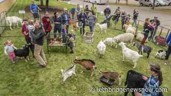 Lethbridge College brings back Coulee Fest September 18 - Lethbridge News Now