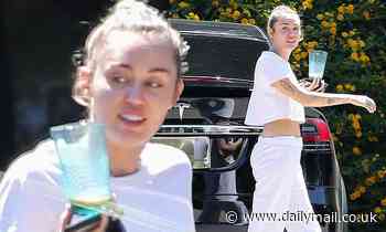 Miley Cyrus hangs out with friends in Malibu... after telling DaBaby she'd 'love to talk' him