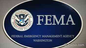 DHS watchdog to blame data management for rocky PPE distribution: report
