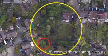Anger as ‘200-year-old tree’ in Sutton Coldfield faces axe for back garden-development - Birmingham Live