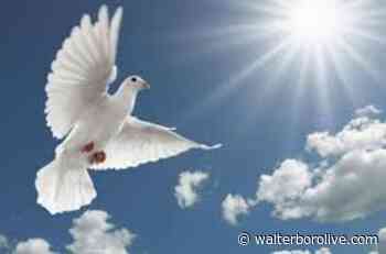 Patricia Sutton Hawkins - Walterboro Live