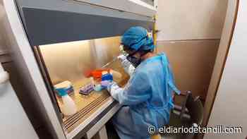 Coronavirus en Tandil: dos muertes y 39 nuevos casos - El diario de Tandil