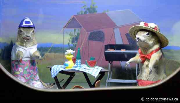West's weirdest? Quirky Alberta gopher museum celebrates 25 years