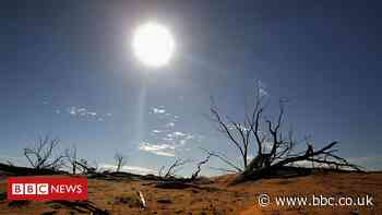 COP26: What is the UN climate conference in Glasgow and why is it so important?