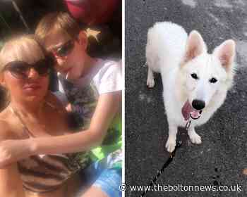 Swiss Shepherd "could be put down" after trip from Lebanon