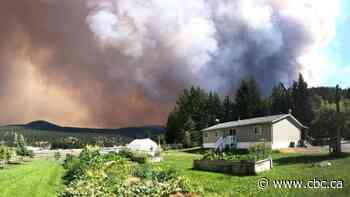 Ferocious fire near Vernon, B.C., jumps highway, burns homes
