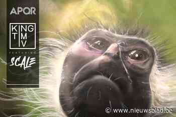 King Tim IV rapt over de apenjaren