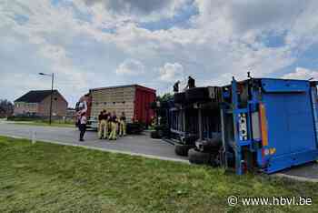 Aanhangwagen vol slachthennen kantelt in Lozen: 3.500 kippen... (Bocholt) - Het Belang van Limburg Mobile - Het Belang van Limburg