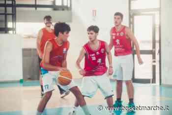 Ufficiale, l'ala Mattia Salerno torna al Mola New Basket 2012 - C Gold Puglia - Basketmarche.it